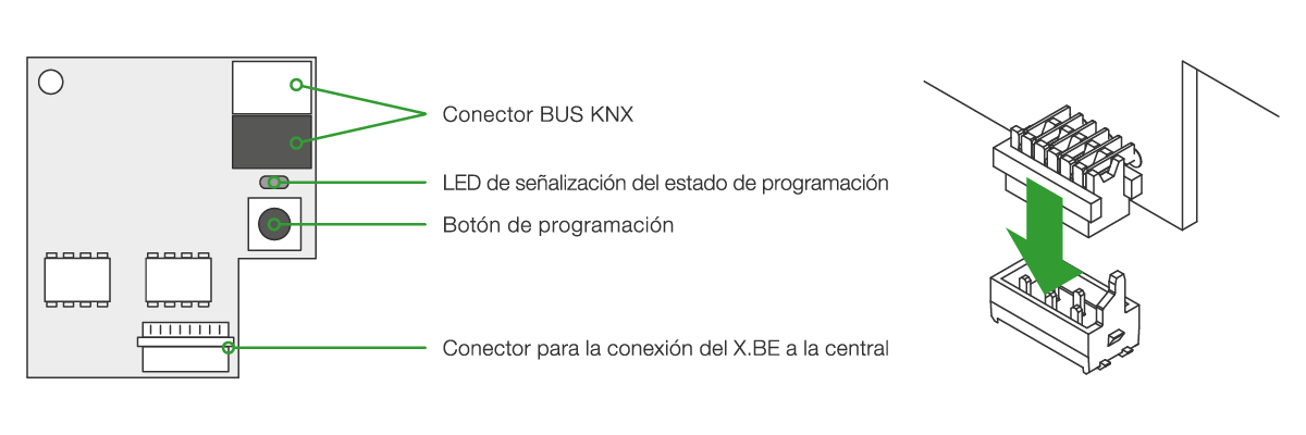 Esquema de la placa, los conectores y los LED