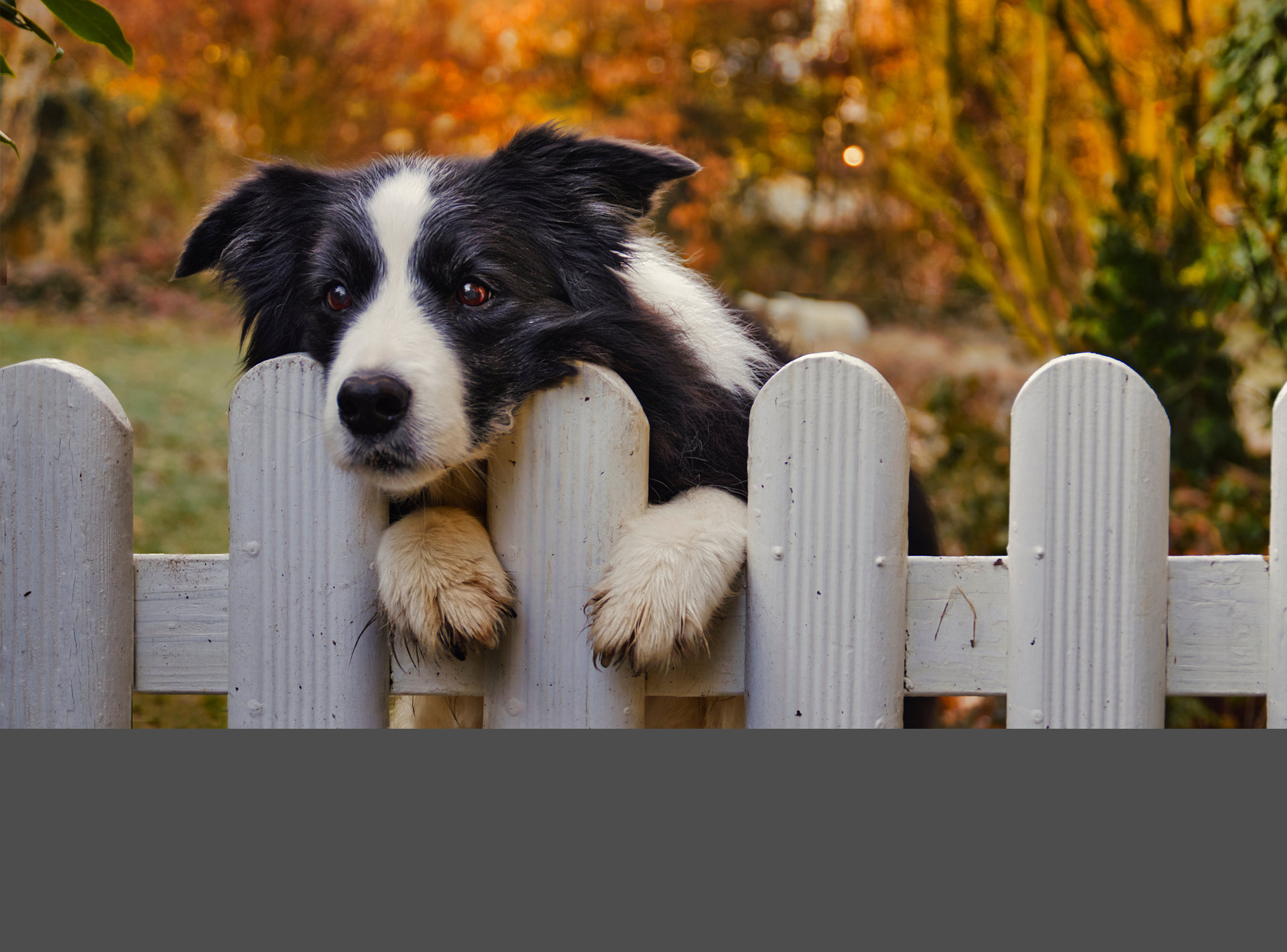 CONTRÔLE | Automatismi Benincà